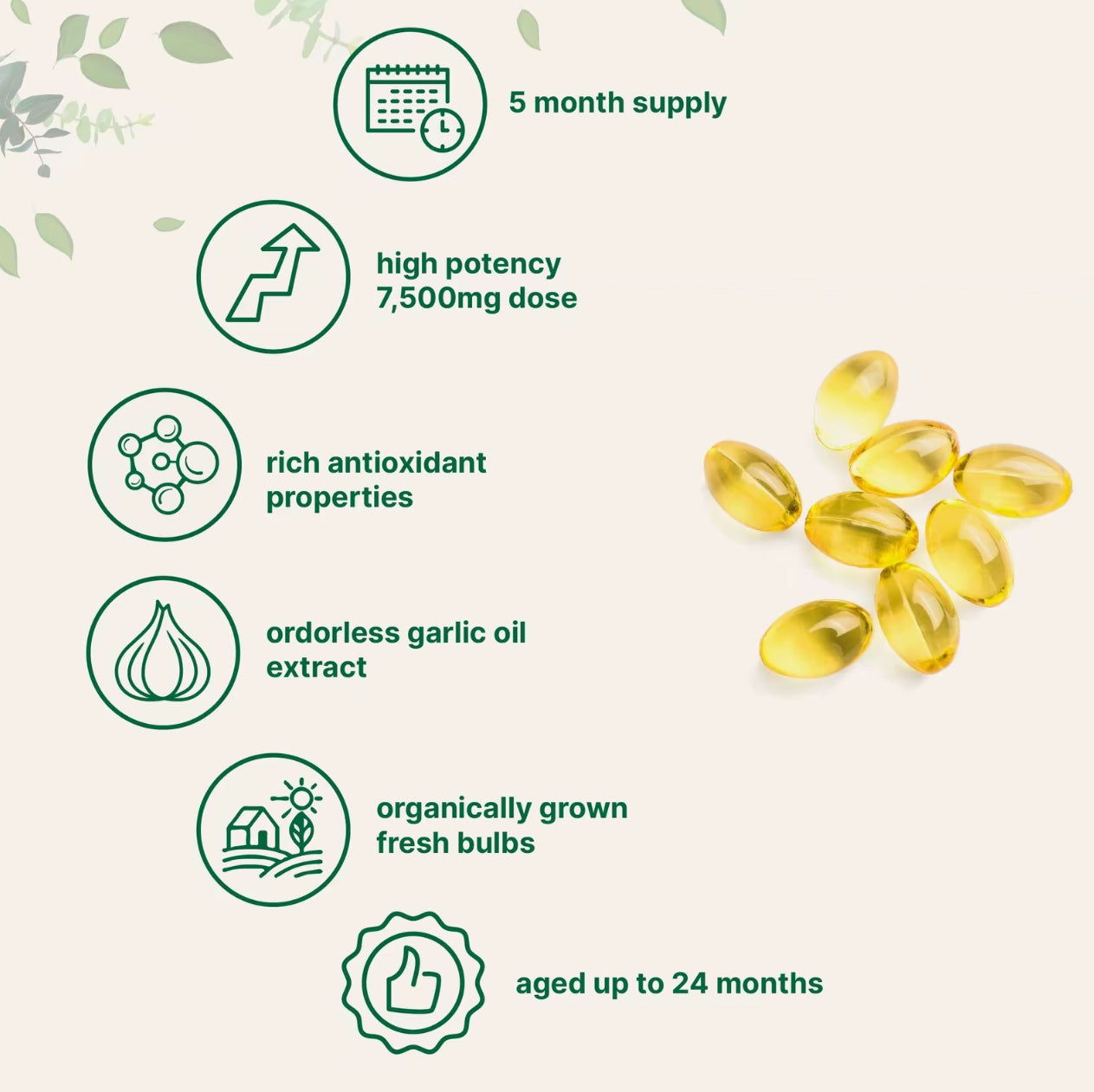 MicroLabs™ Aged Garlic Extract Capsules